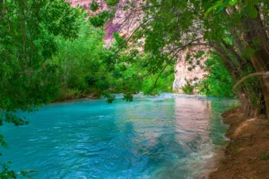 Relax at the Upper Falls