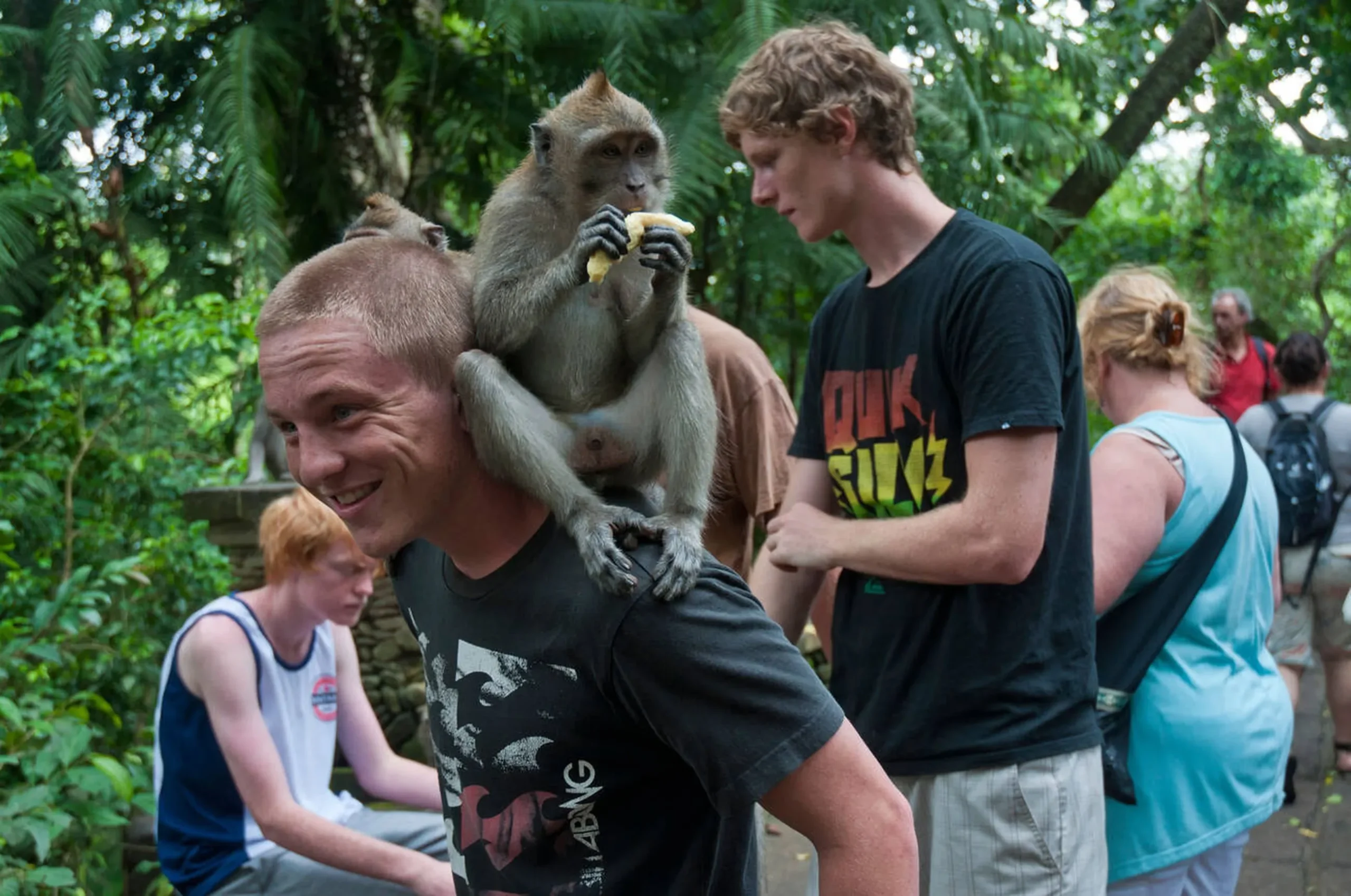 Sacred Monkey Forest Sanctuary Baby Monkeys, Banana Heists, and My First Selfie Fail