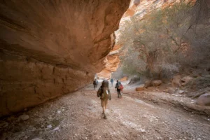 The Hike to Havasupai Falls