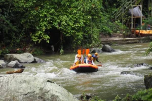 Ayung River (Ubud) White-Water Rafting