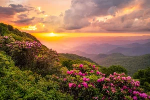 Blue Ridge Parkway