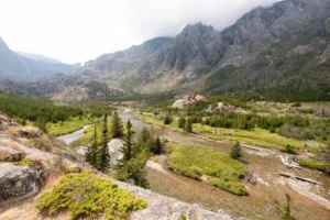 Gallatin National Forest