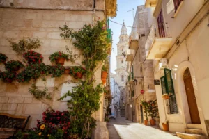 green flowers on the street corner Monopoli
