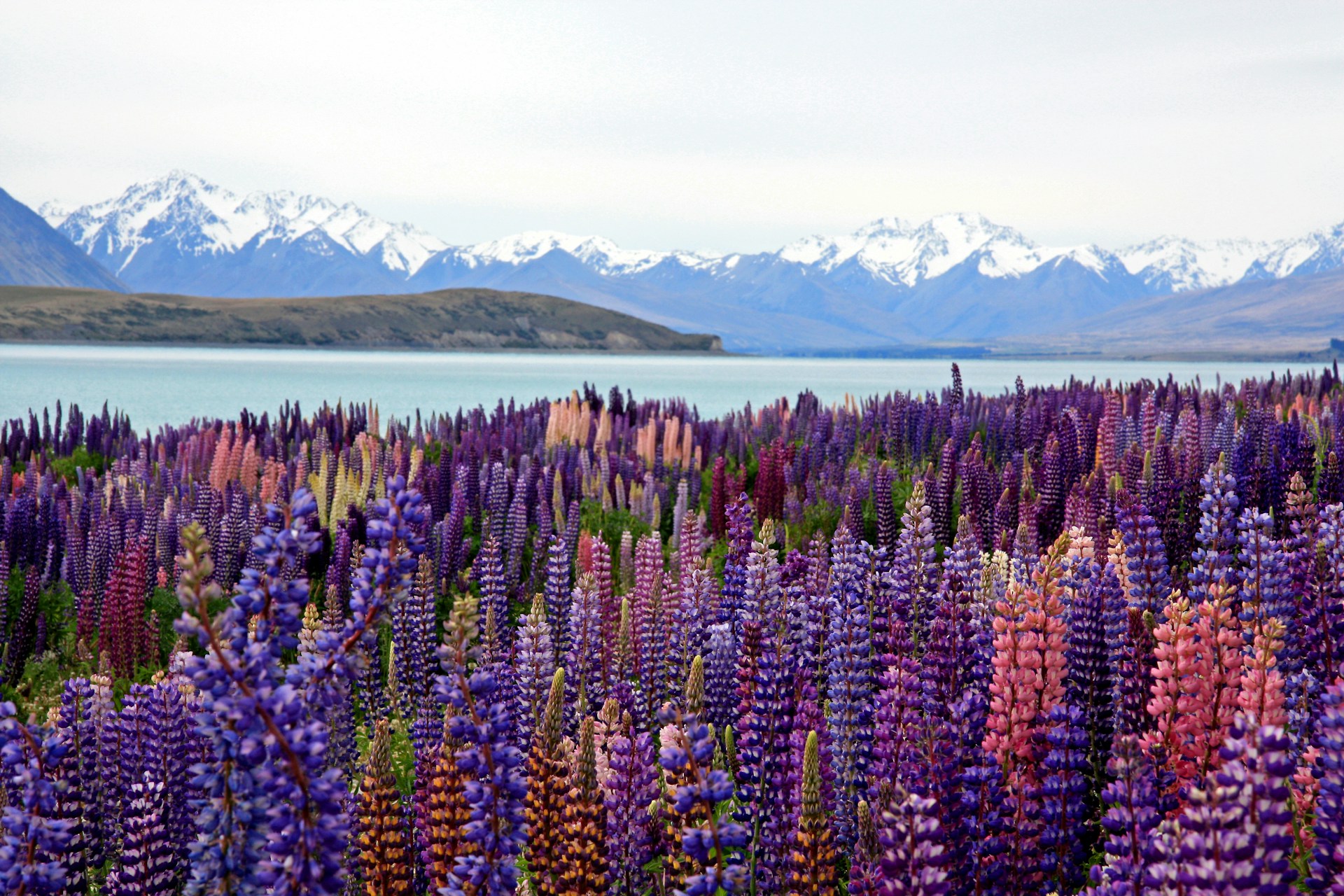 New Zealand travel guide