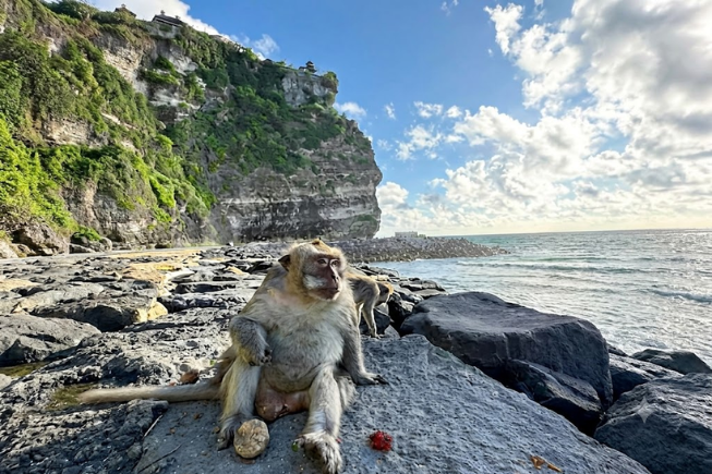 Bali Itinerary 7 Days: The Perfect Bali Route